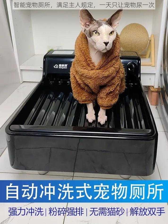 智能宠物厕所,满足主人规定,一天只让宠物尿一次