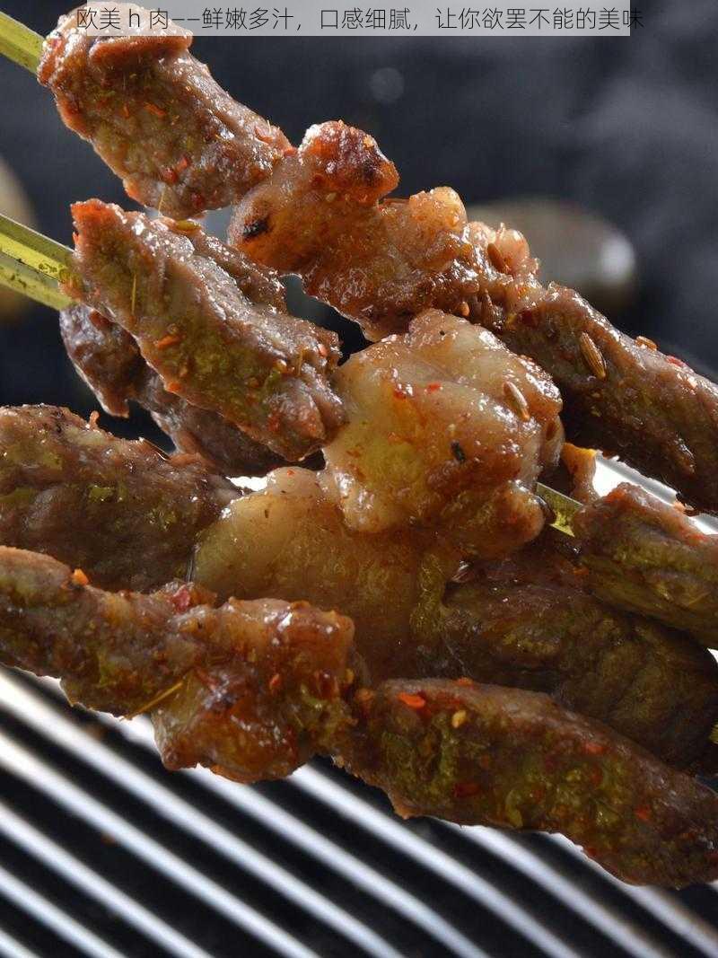 欧美 h 肉——鲜嫩多汁,口感细腻,让你欲罢不能的美味