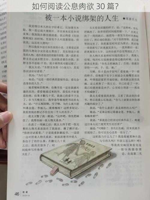 如何阅读公息肉欲 30 篇?