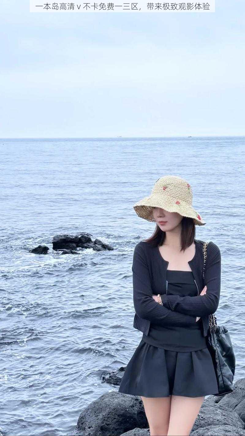 一本岛高清 v 不卡免费一三区,带来极致观影体验