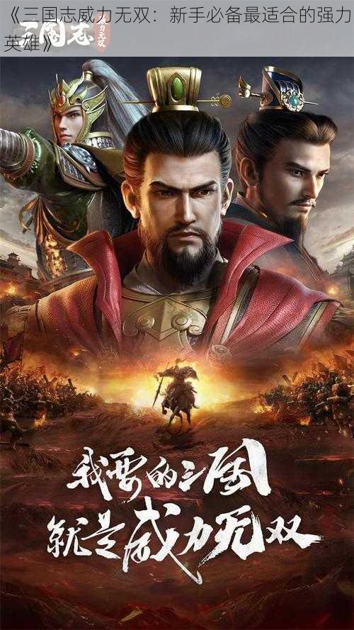 《三国志威力无双:新手必备最适合的强力英雄》