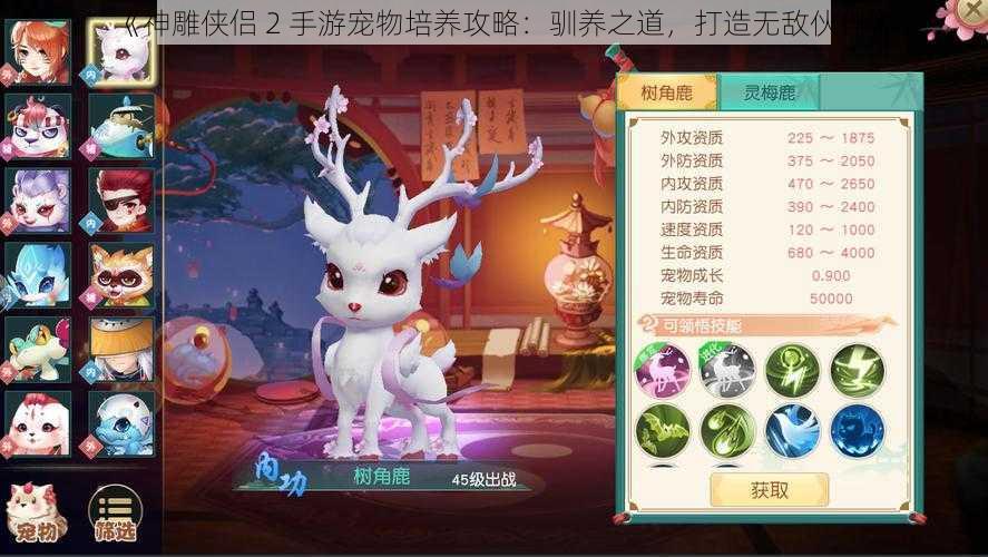 《神雕侠侣 2 手游宠物培养攻略:驯养之道,打造无敌伙伴》
